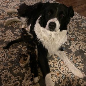 Meet your Posher, Harper